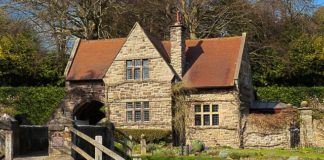 Jak wybrać zmywarkę