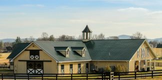 Dzieciństwo w mieście