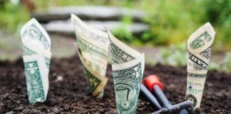 Doradztwo podatkowe pomysłem na biznes