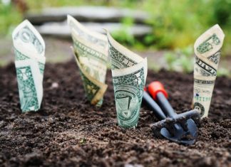 Doradztwo podatkowe pomysłem na biznes