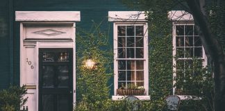 Jakie płyny do zmywania naczyń