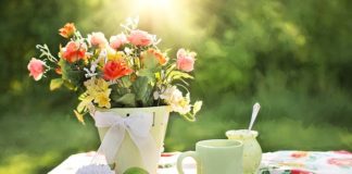 Domowe zwierzaki – vademecum