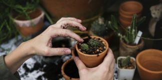 Zabawa jak z dzieciństwa