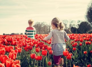 Najpiękniejsze elementy w naszych ogrodach