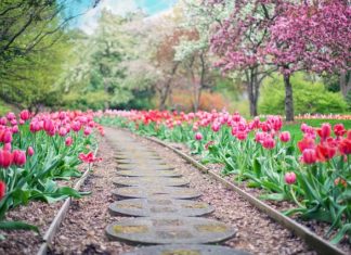 Podstawowe prawa zwierząt na świecie