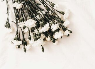 dom pogrzebowy warszawa