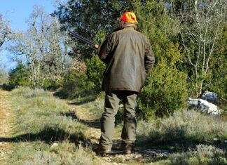 Czy warto kupić wiatrówkę