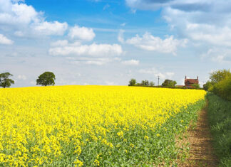 Jak zapewnić najlepesze ubezpieczenie rolne dla swojego gospodarstwa? Jak zapewnić najlepesze ubezpieczenie rolne dla swojego gospodarstwa
