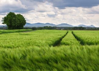 Jaki jest rozstaw śrub fiat bravo 2?