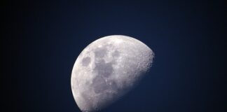 Dlaczego polar jest ciepły?