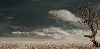 Jaki mandat za pękniętą szybę?