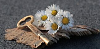 Jak otworzyć zablokowane tylne drzwi w samochodzie?