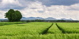 Jaki jest rozstaw śrub VW T4?