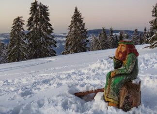 Czy Świątek dostała Porsche?