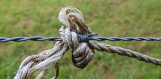 Co odstrasza złodziei?