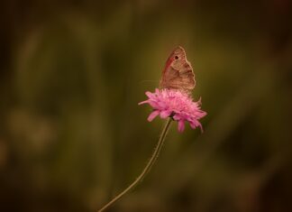 Jak samemu usunąć rdzę z błotnika?