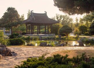 Czym jeździ Iga? Czym jeździ Iga?