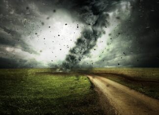 Ile kosztuje zmiana z ciężarowego na osobowy?