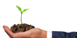 Jak się nazywa dno statku?