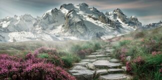 Jak są oznaczone kamienie i mielizny?