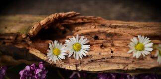 Czy można jeździć z pękniętym blokiem?