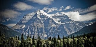 Jak zamontować przedni błotnik do roweru Kross?