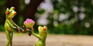 Czy OC pokrywa pęknięcie szyby?