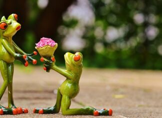 Czy OC pokrywa pęknięcie szyby?