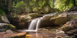 Jak zrobić żywicę w domu?