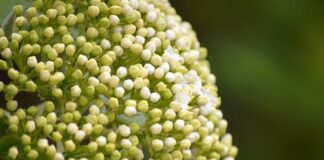 Co to znaczy tuleja?