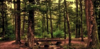 Jak zamontować przedni błotnik do roweru?