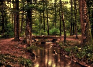 Jak zamontować przedni błotnik do roweru? Jak zamontować przedni błotnik do roweru?