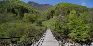 Czy można ubiegać się o skrócenie zakazu prowadzenia pojazdów?