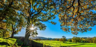 Co oznacza tor wodny?