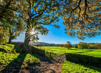 Co oznacza tor wodny?