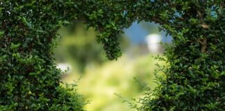 Co daje zielona szyba w samochodzie?