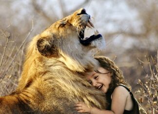 Jaka jest najlepsza moc silnika? Jaka jest najlepsza moc silnika?