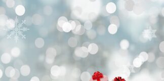 Jaka torba dla psa do samolotu?