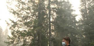 Jak pozbyć się pasożytów u psa?