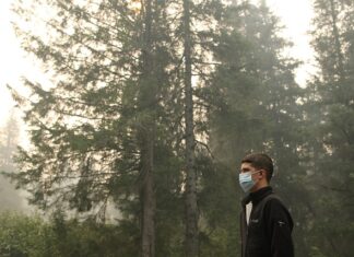 Jak pozbyć się pasożytów u psa?