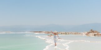 Co się stanie jak nie ma soli w zmywarce?