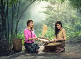 Z czym podawać smażone tofu? Z czym podawać smażone tofu?