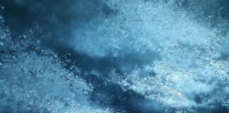 Jak długo można trzymać kanie w lodówce?