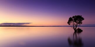 Ile można wypić wody destylowanej?