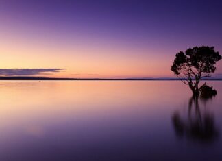 Ile można wypić wody destylowanej?