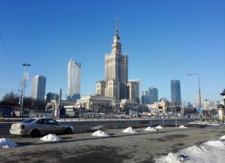 Czy w Polsce są patyczaki?