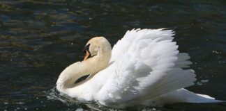 Jak uniknąć wzdęć i gazów?