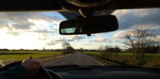 Jaki sterownik do wędzarni?