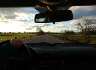 Jaki sterownik do wędzarni?