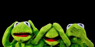 Co oznacza jak żaby wchodzą do domu?